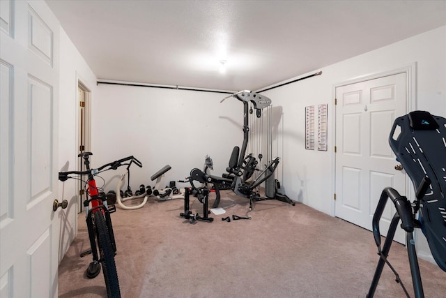 workout area with carpet floors