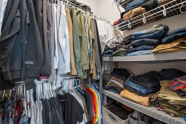 view of spacious closet