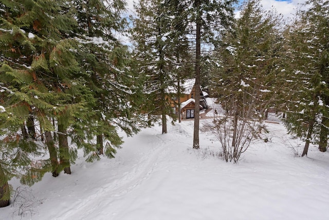 71 Limber Pne Unit 71, Whitefish, MT 59937 - view of yard covered in snow