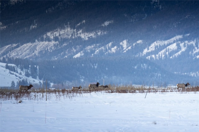 property view of mountains