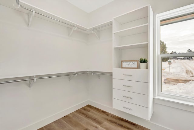 walk in closet featuring light wood-style floors