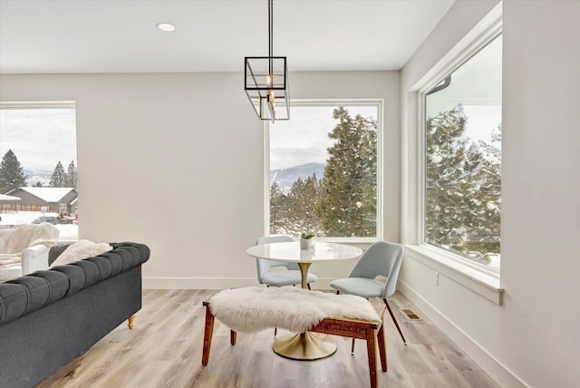 interior space with baseboards, light wood-type flooring, and a healthy amount of sunlight