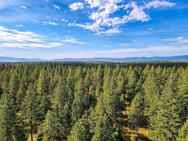 5150 US Highway 93, Whitefish, MT 59937