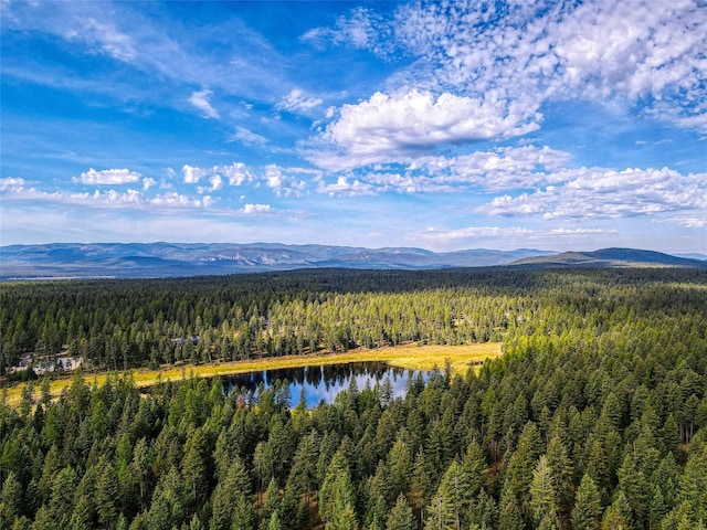 5150 US Highway 93, Whitefish, MT 59937