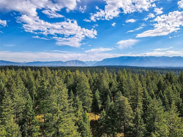 5150 US Highway 93, Whitefish, MT 59937