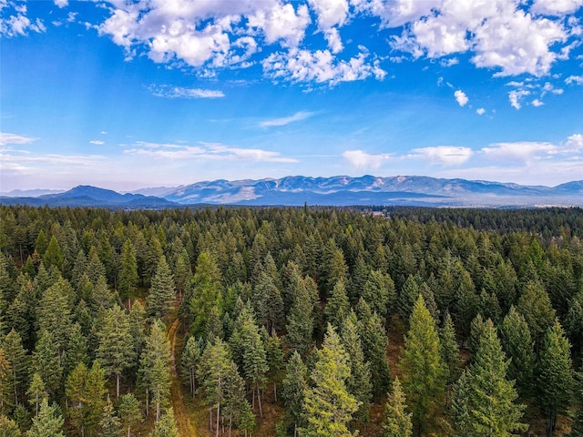 5150 US Highway 93, Whitefish, MT 59937