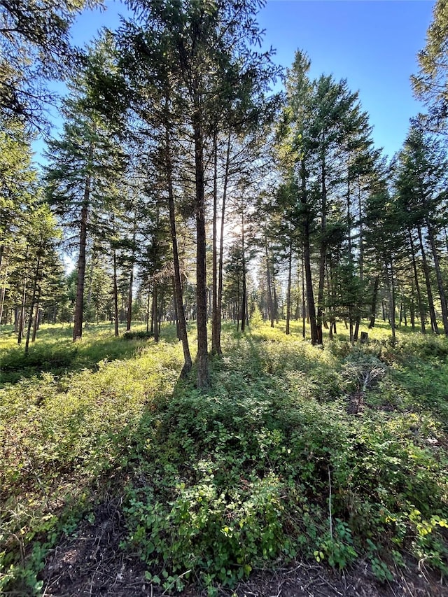 5150 US Highway 93, Whitefish, MT 59937