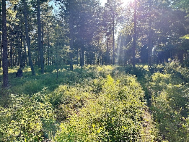 5150 US Highway 93, Whitefish, MT 59937