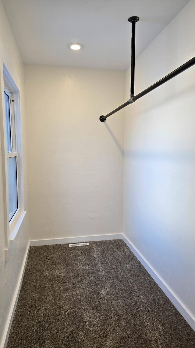 walk in closet with carpet flooring