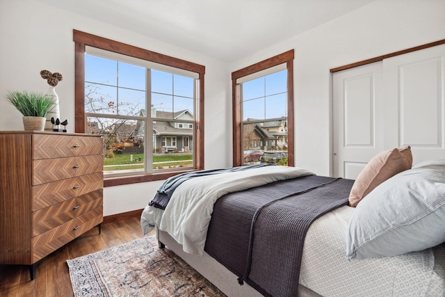 bedroom with a closet, multiple windows, and wood finished floors