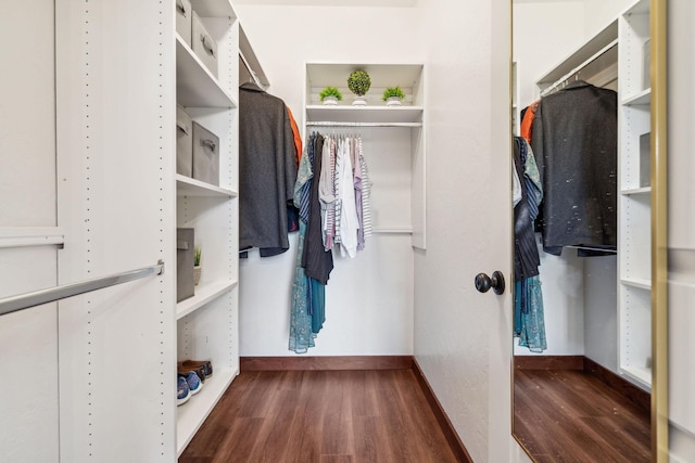 walk in closet featuring dark wood-style flooring