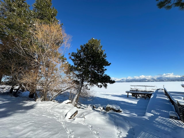 view of yard layered in snow