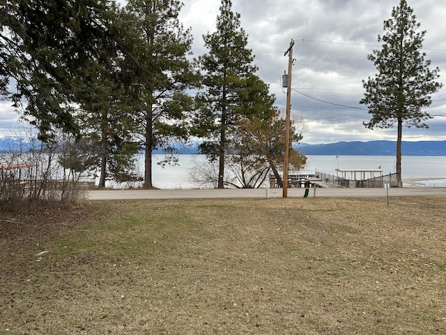 view of yard with a water and mountain view