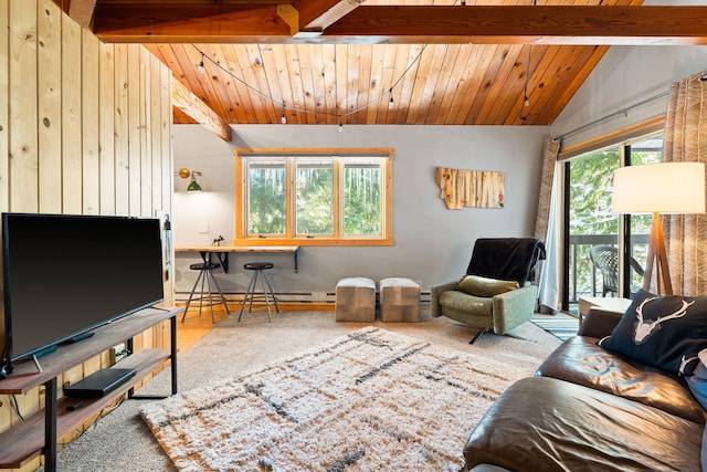37 Alder Way, Whitefish, MT 59937 - living room featuring wood ceiling, a baseboard radiator, wooden walls, and wood finished floors