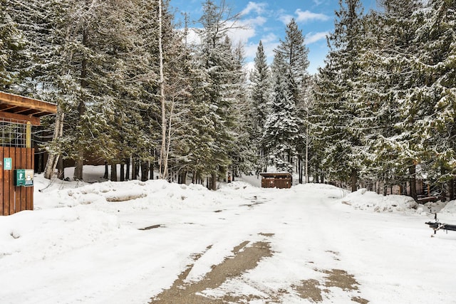 37 Alder Way, Whitefish, MT 59937 - view of yard layered in snow
