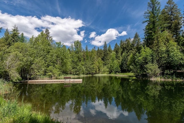 water view with a view of trees