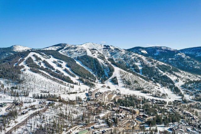 37 Alder Way, Whitefish, MT 59937 - mountain view