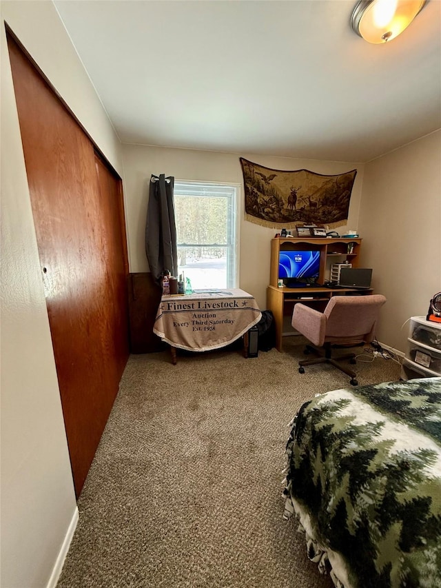 bedroom with carpet and a closet