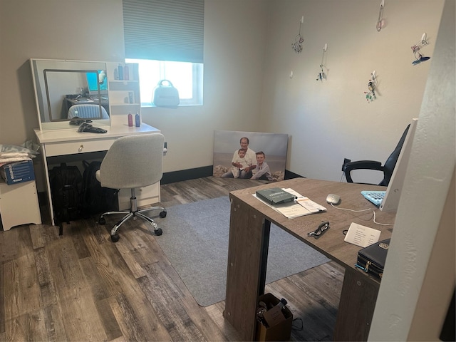 office featuring wood finished floors