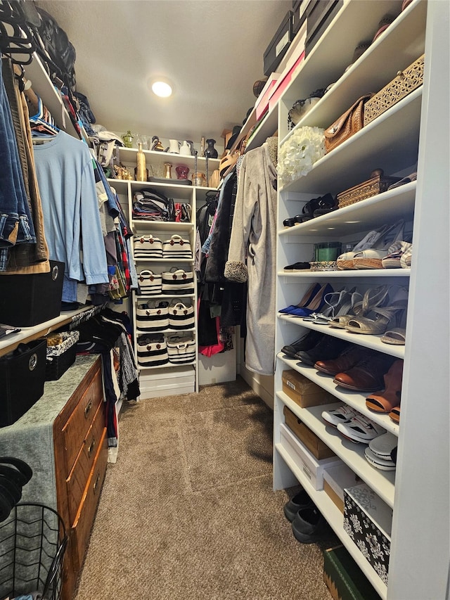 spacious closet featuring carpet