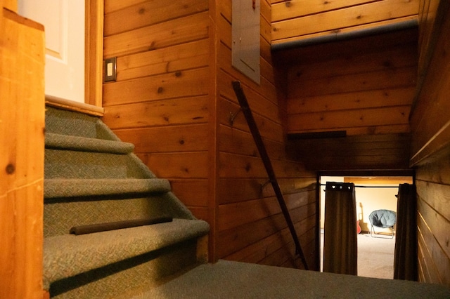 staircase with wooden walls