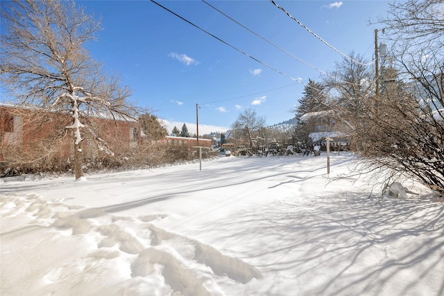 view of yard covered in snow