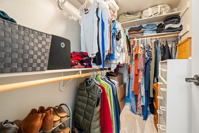 walk in closet featuring carpet flooring