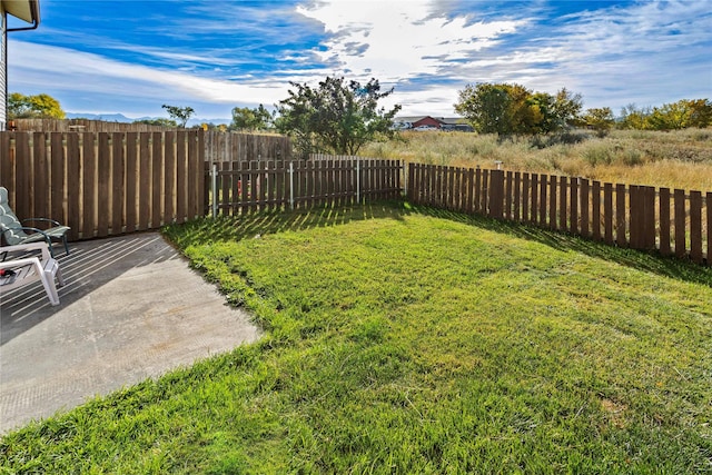 view of yard with a fenced backyard and a patio