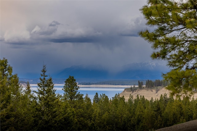 56 Nelson Dr, Rexford, MT 59930 - property view of water