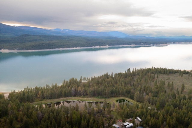 56 Nelson Dr, Rexford, MT 59930 - bird's eye view featuring a view of trees and a water and mountain view