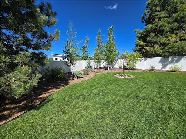 view of yard featuring a fenced backyard