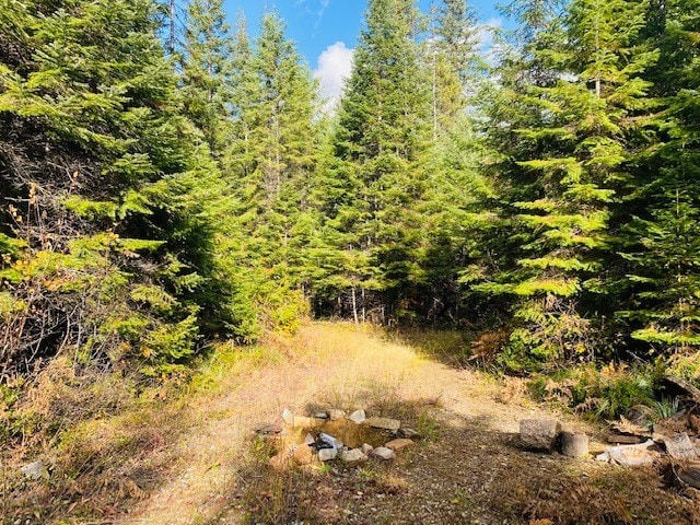 Listing photo 3 for Nhn Pilgrim Creek Road, Noxon MT 59853