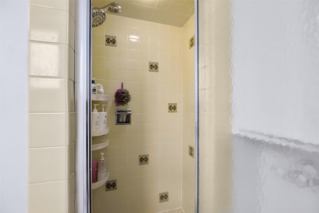 bathroom with a stall shower