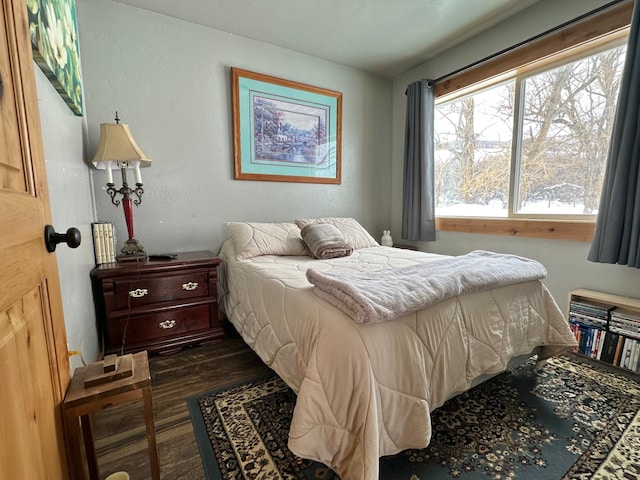 bedroom featuring dark wood finished floors