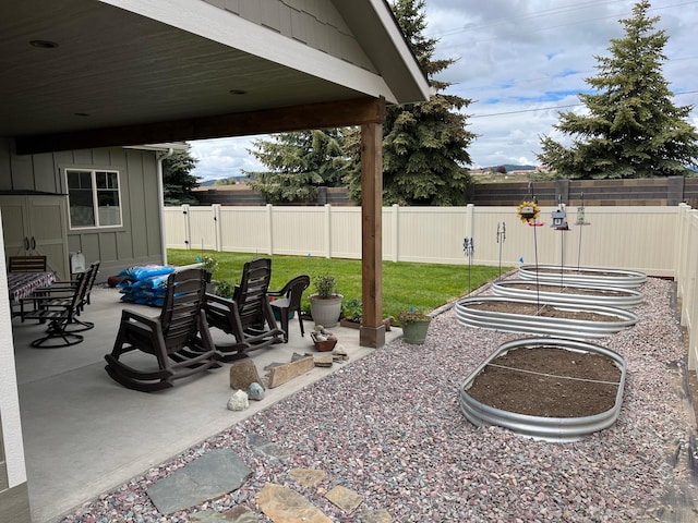 view of yard featuring a patio and a fenced backyard