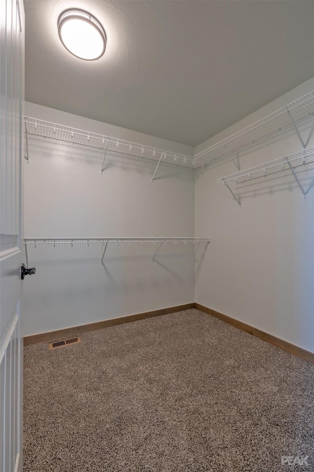 spacious closet with carpet floors and visible vents