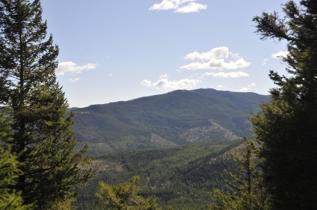 Listing photo 3 for NHN Coon Hollow Rd, Kila MT 59920