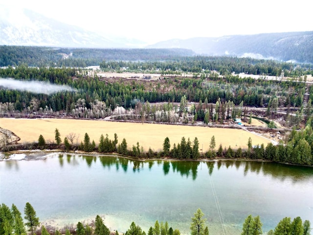 birds eye view of property with a view of trees and a water and mountain view