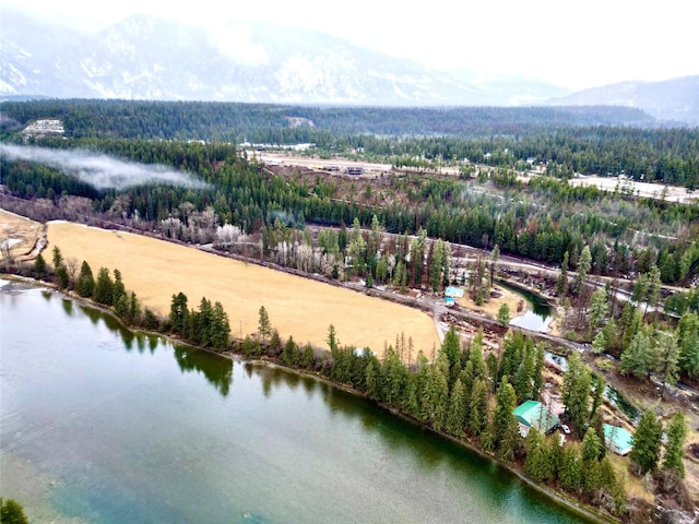 bird's eye view with a forest view and a water and mountain view