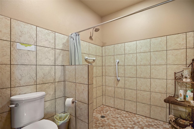 full bathroom featuring a shower stall and toilet