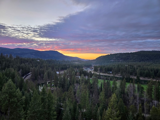 property view of mountains with a wooded view