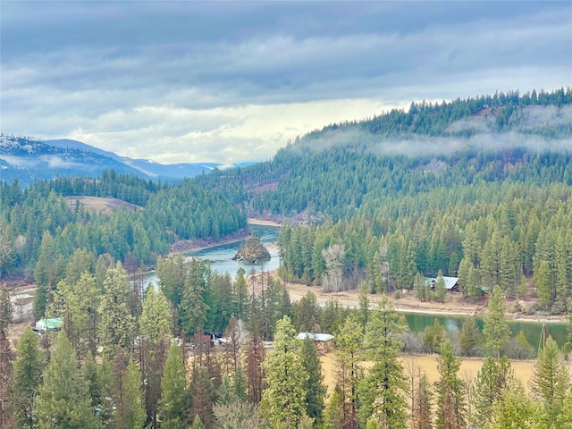 property view of mountains with a water view and a view of trees