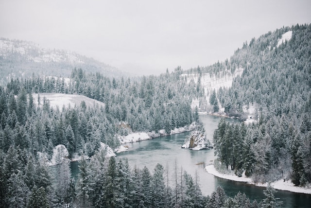 drone / aerial view with a view of trees and a water and mountain view