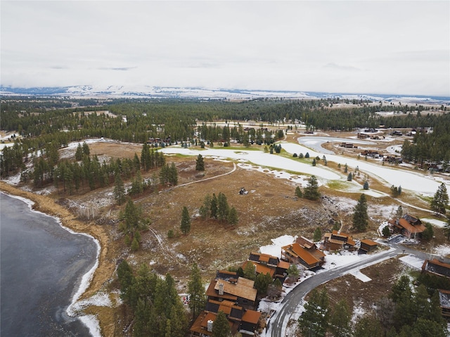 30 Ninebark Way, Eureka, MT 59917 - aerial view