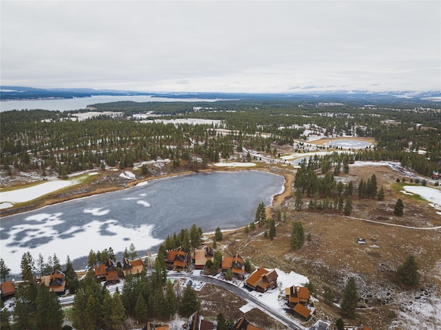30 Ninebark Way, Eureka, MT 59917 - aerial view featuring a water view