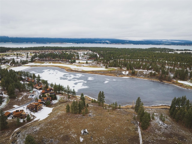 30 Ninebark Way, Eureka, MT 59917 - birds eye view of property featuring a water view and a view of trees