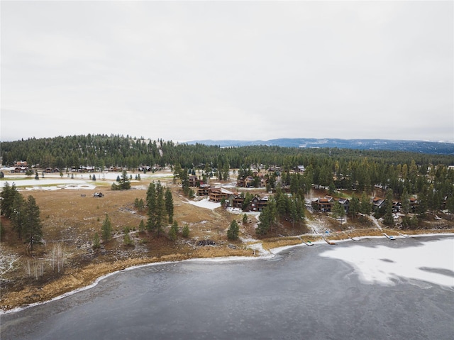 30 Ninebark Way, Eureka, MT 59917 - birds eye view of property featuring a forest view