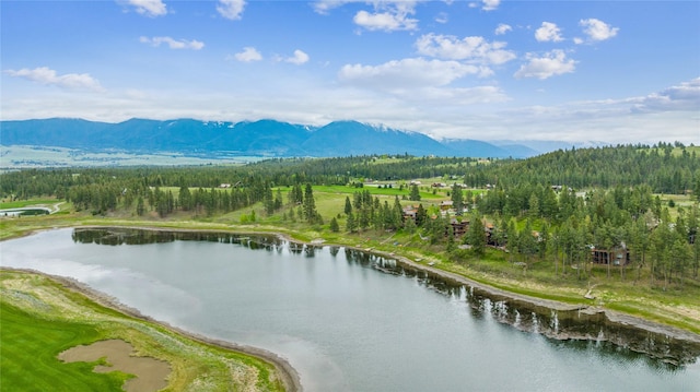 30 Ninebark Way, Eureka, MT 59917 - bird's eye view featuring a water and mountain view and a forest view