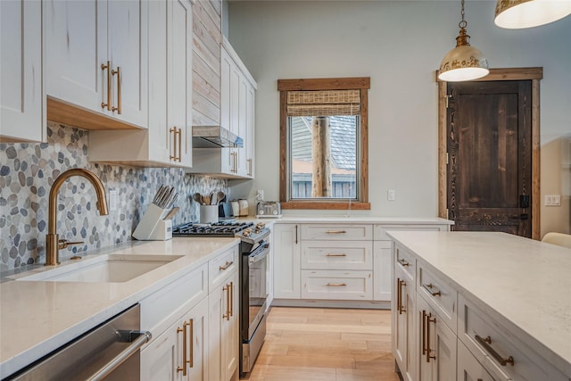 30 Ninebark Way, Eureka, MT 59917 - kitchen with white cabinetry, light wood-style floors, appliances with stainless steel finishes, and a sink