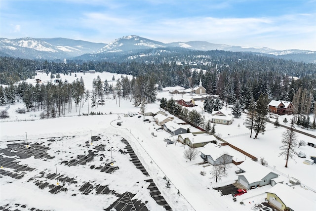 snowy aerial view with a mountain view